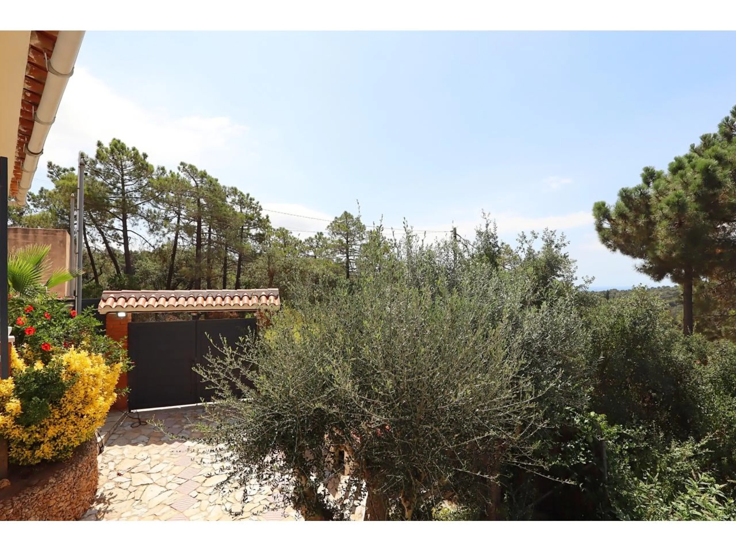 Beautiful Renovated House with Private Pool and Independent Apartments in Mont Lloret, Costa Brava