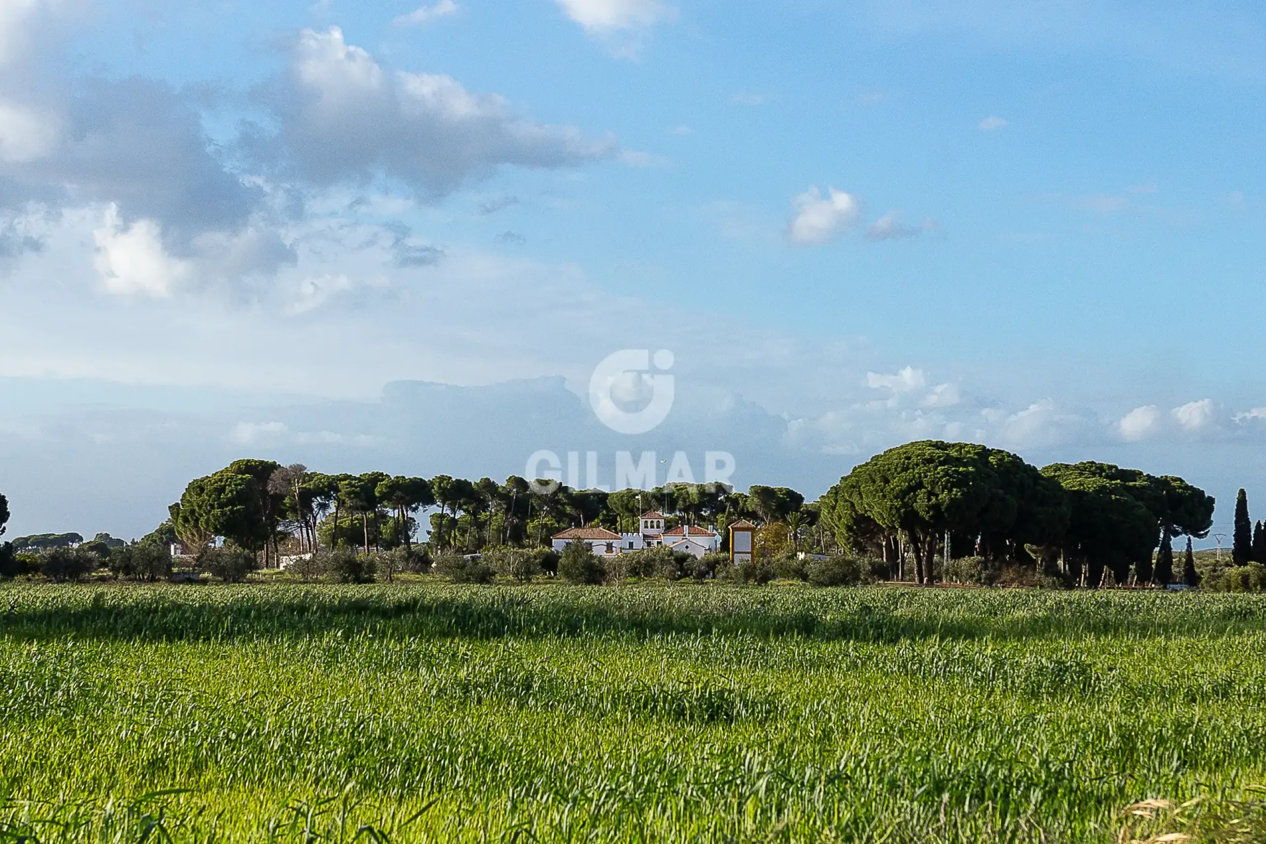 Chalet Independiente en Marchena - Sevilla