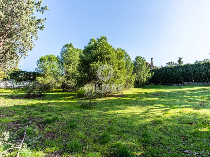 Chalet Independiente en Las Rozas - Madrid
