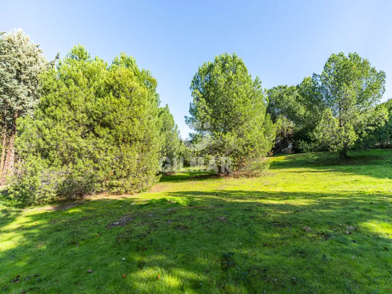 Chalet Independiente en Las Rozas - Madrid