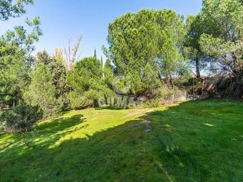 Chalet Independiente en Las Rozas - Madrid