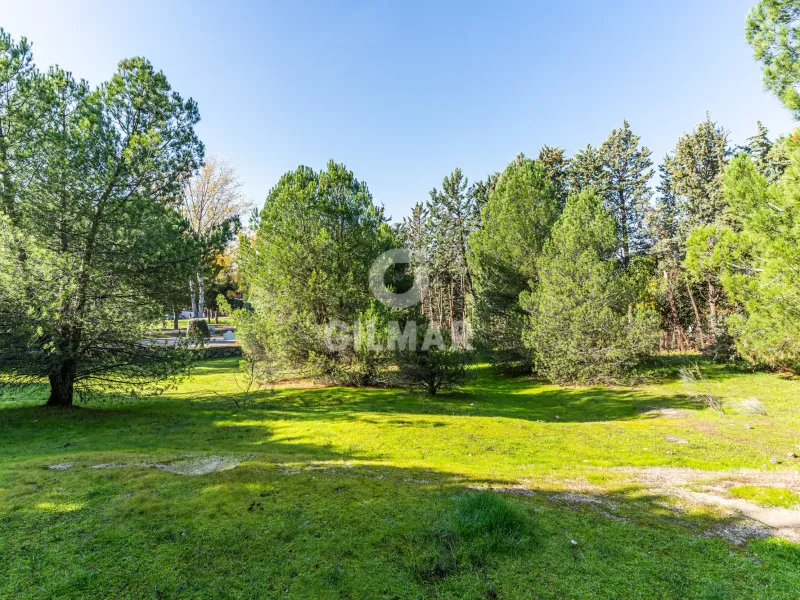 Chalet Independiente en Las Rozas - Madrid
