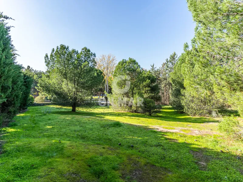 Chalet Independiente en Las Rozas - Madrid
