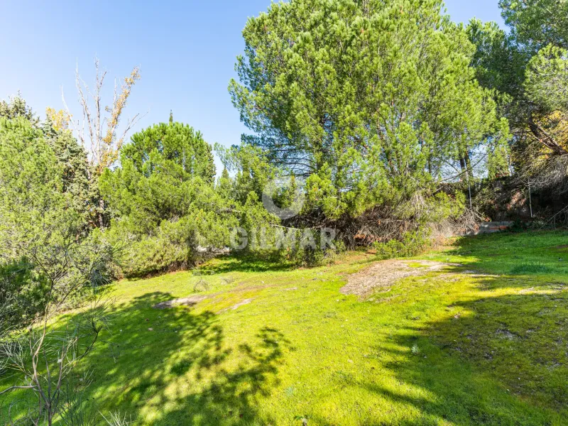Chalet Independiente en Las Rozas - Madrid