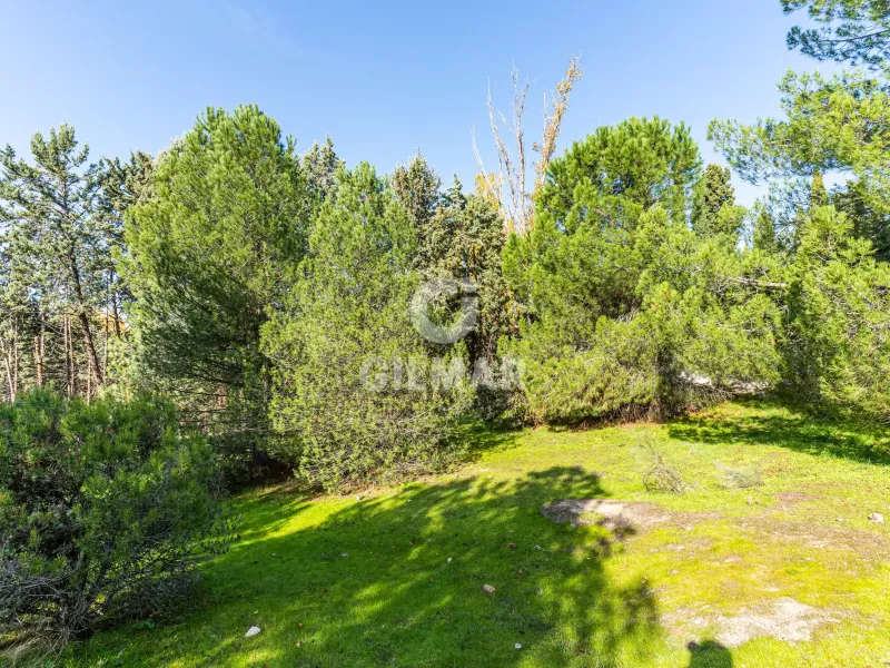 Chalet Independiente en Las Rozas - Madrid