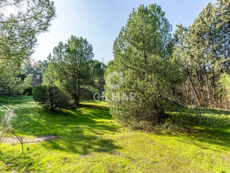 Chalet Independiente en Las Rozas - Madrid