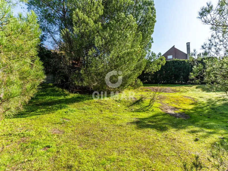 Chalet Independiente en Las Rozas - Madrid