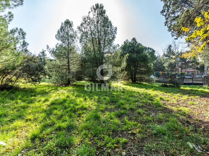 Chalet Independiente en Las Rozas - Madrid