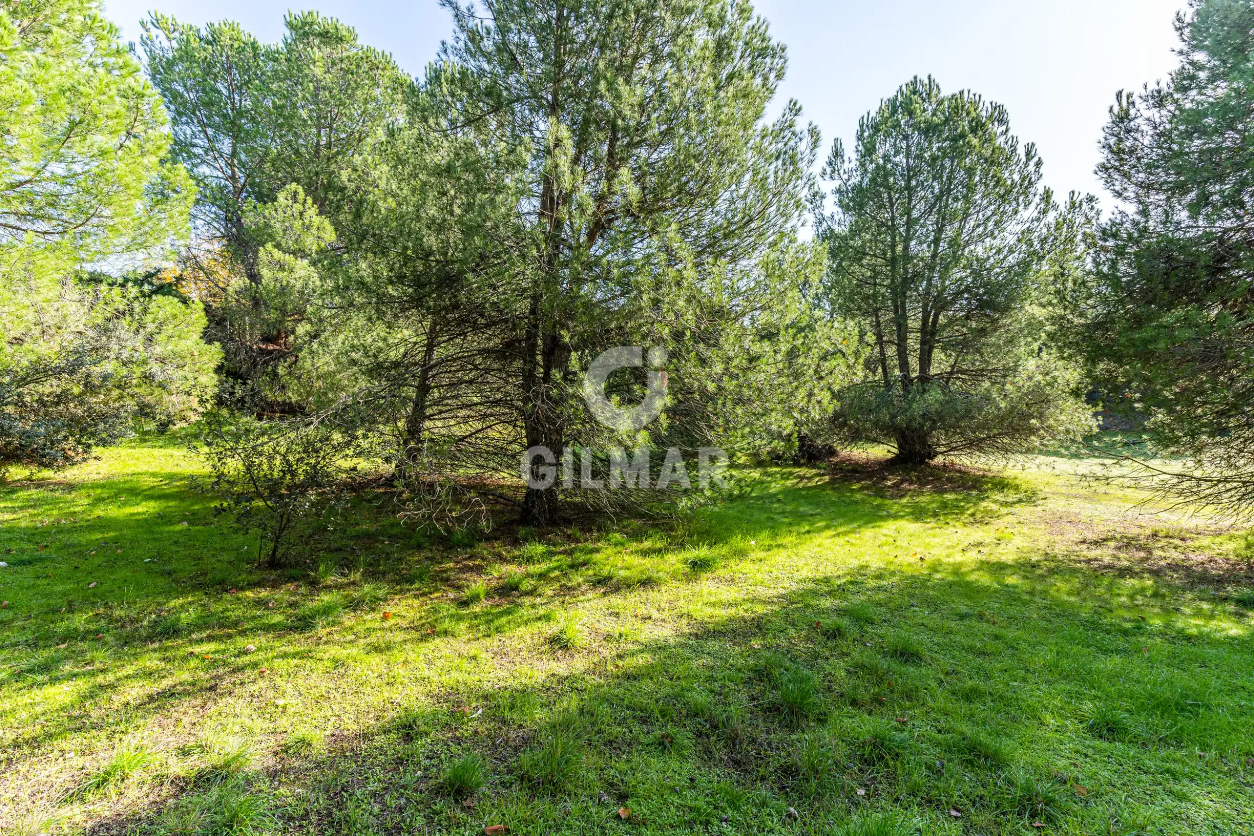 Chalet Independiente en Las Rozas - Madrid