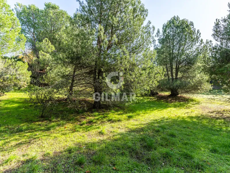 Chalet Independiente en Las Rozas - Madrid