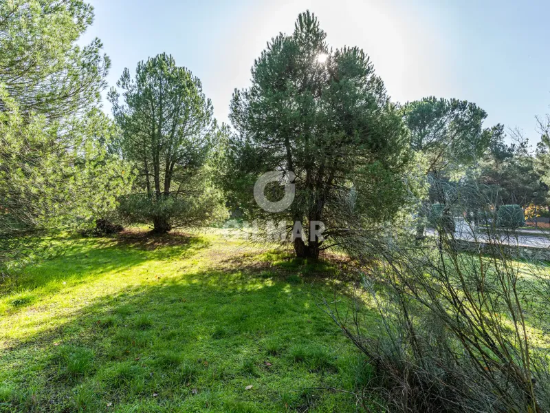 Chalet Independiente en Las Rozas - Madrid