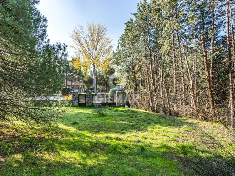 Chalet Independiente en Las Rozas - Madrid