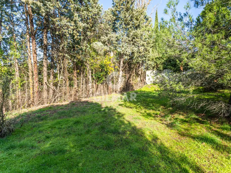 Chalet Independiente en Las Rozas - Madrid