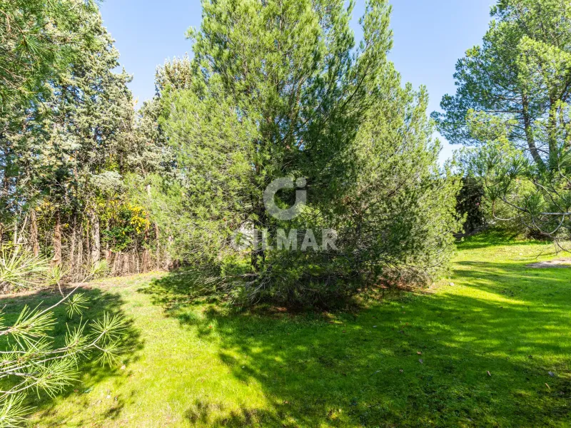 Chalet Independiente en Las Rozas - Madrid