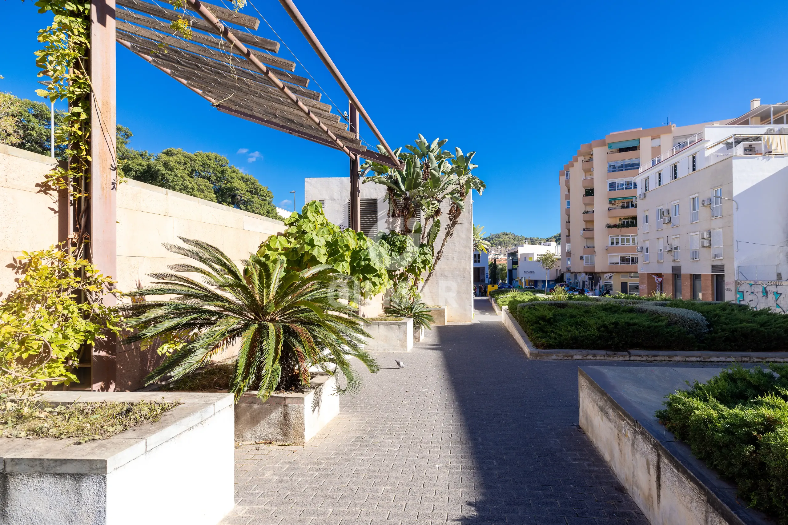 Villa in Centro (Málaga) - Málaga