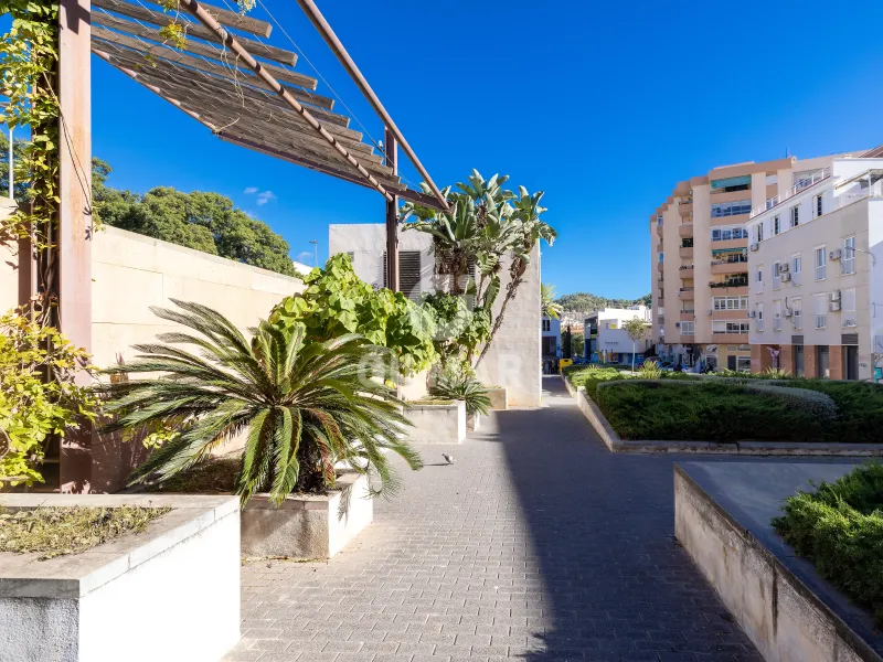 Villa in Centro (Málaga) - Málaga