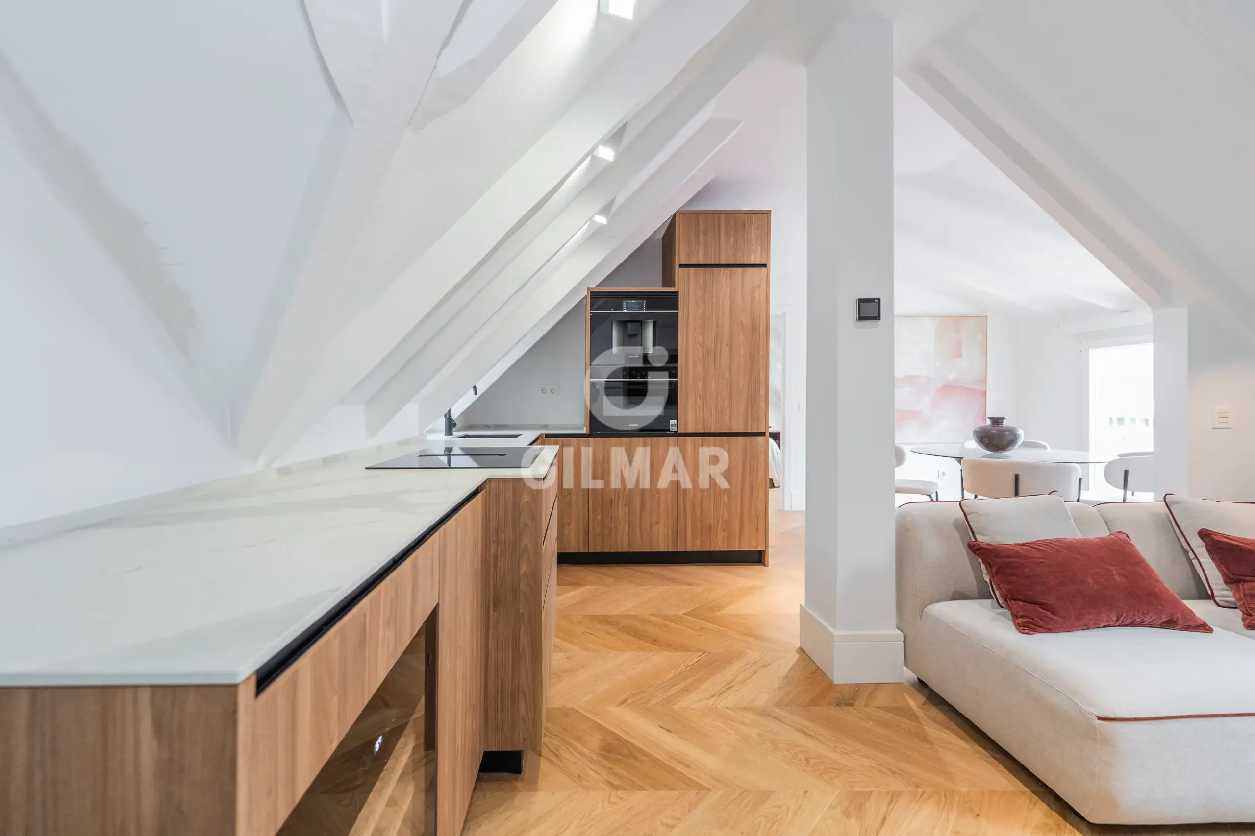 Penthouse in Castellana - Madrid