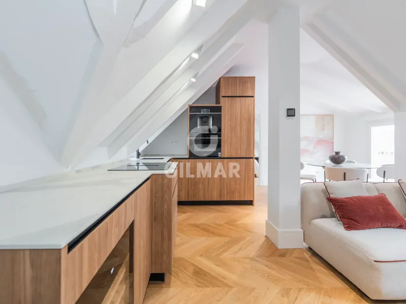 Penthouse in Castellana - Madrid