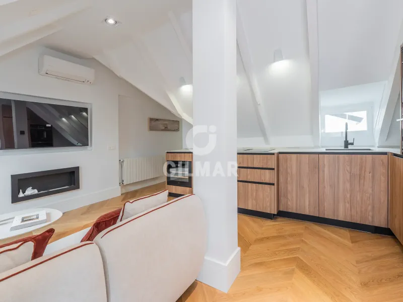 Penthouse in Castellana - Madrid