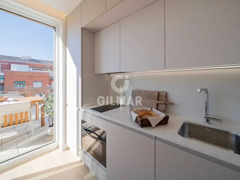 Duplex penthouse in Trafalgar - Madrid