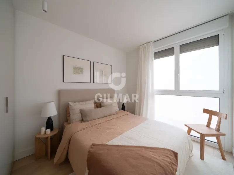 Duplex penthouse in Trafalgar - Madrid
