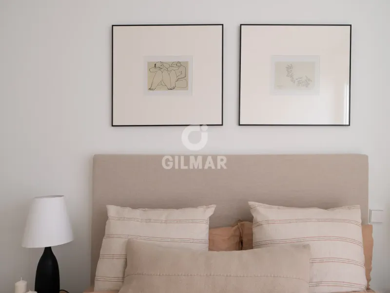 Duplex penthouse in Trafalgar - Madrid