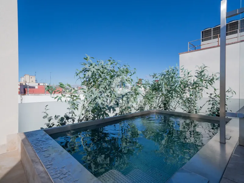 Duplex penthouse in Trafalgar - Madrid