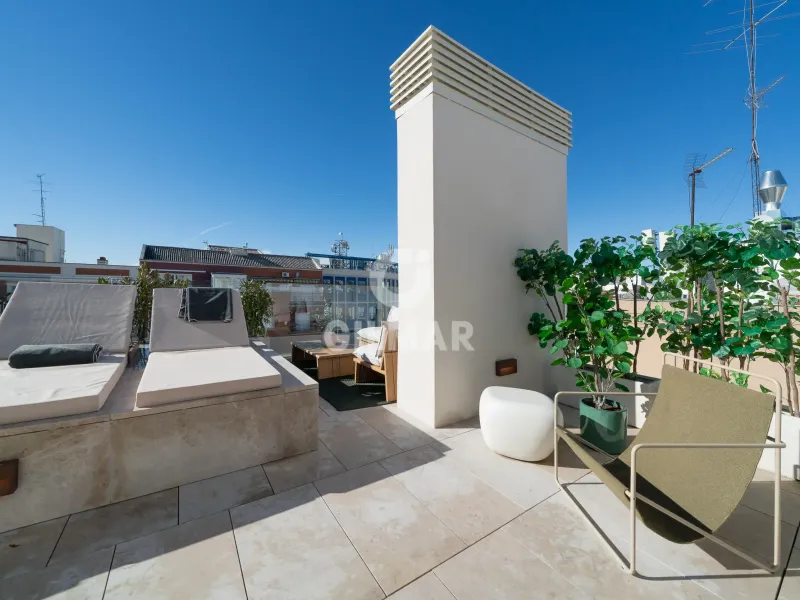 Duplex penthouse in Trafalgar - Madrid