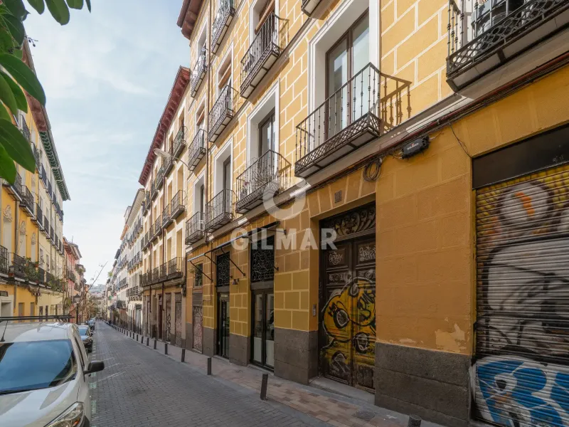 Apartment in Malasaña - Madrid