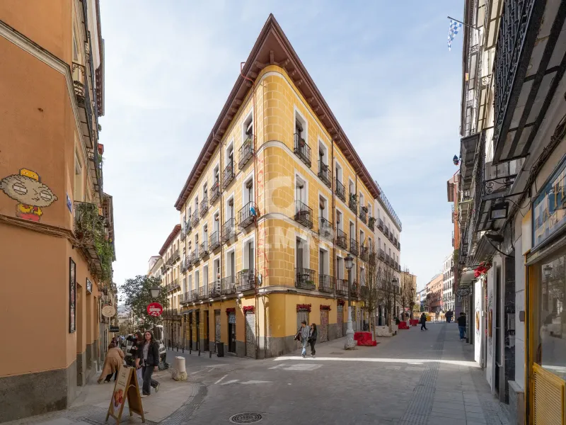 Apartment in Malasaña - Madrid