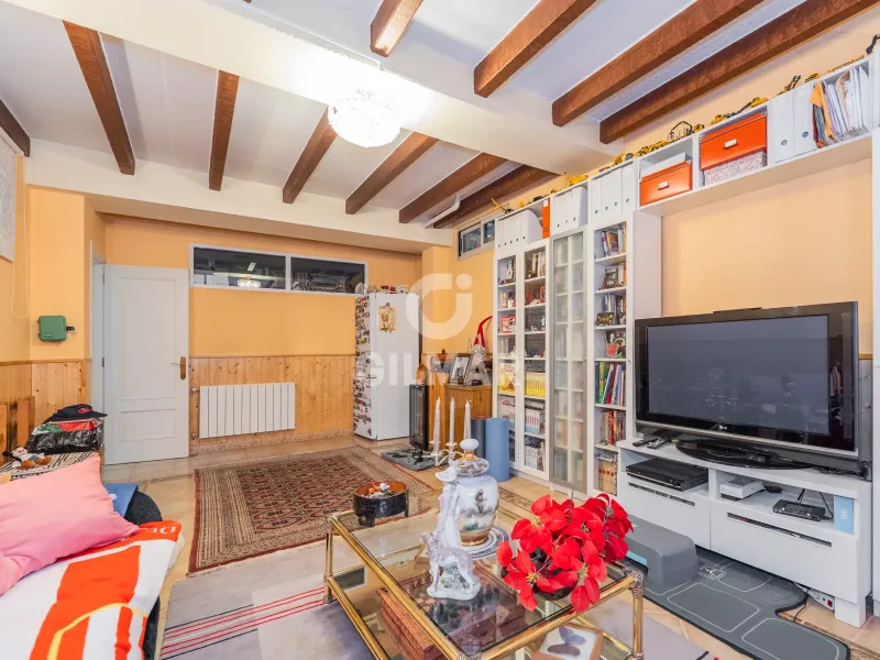Semi-detached house in La Moraleja - Madrid
