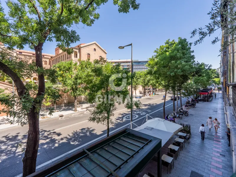 Piso en Almagro - Madrid