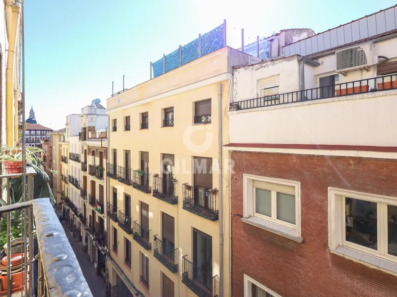 Apartment in La Latina - Madrid
