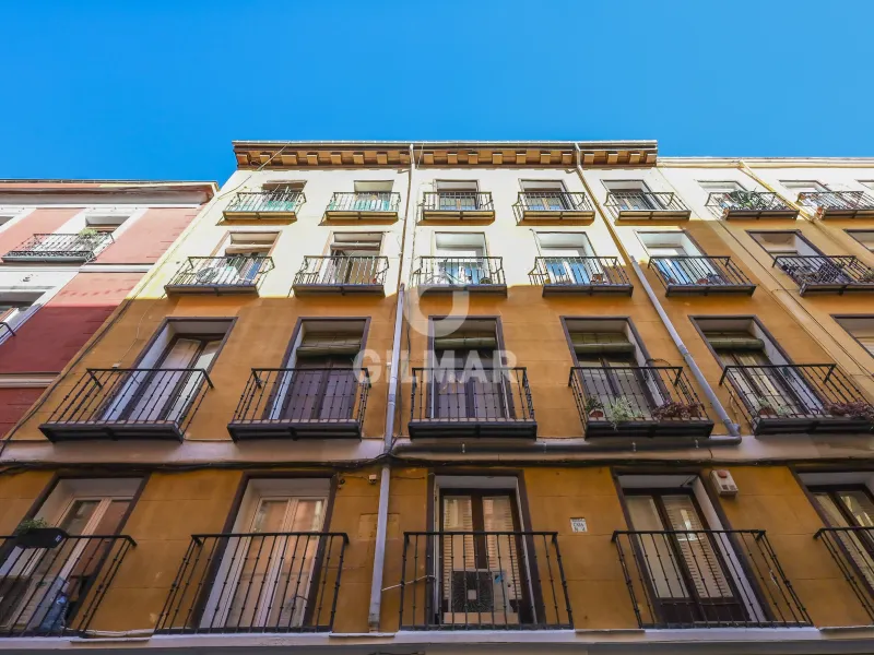 Apartment in La Latina - Madrid