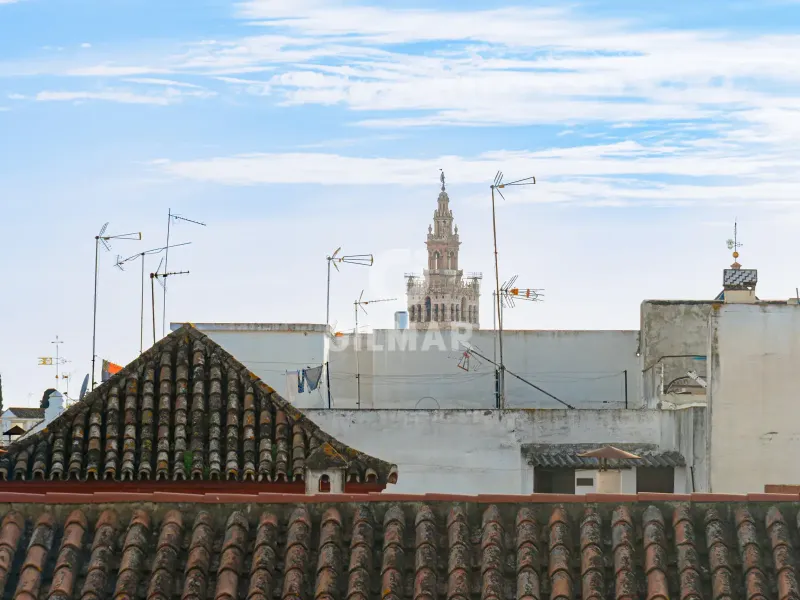 Duplex penthouse in Centro (Sevilla) - Sevilla