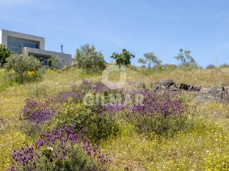 Villa in Torrelaguna - Madrid