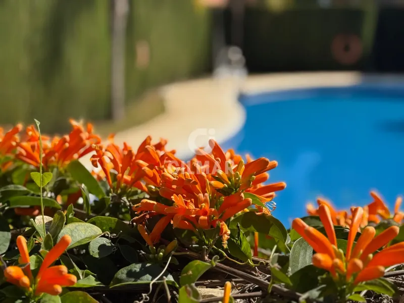Townhouse in Estepona Oeste - Málaga