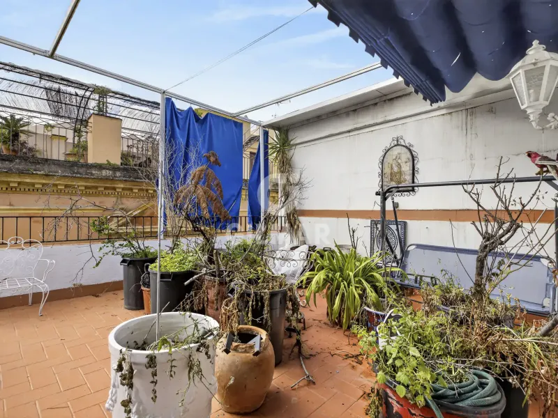 Piso en Centro (Sevilla) - Sevilla