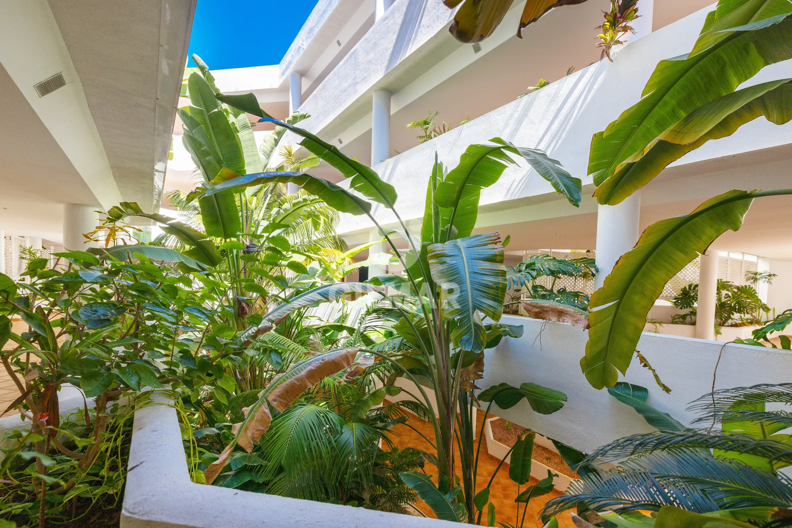 Apartment in Puerto Banús - Málaga
