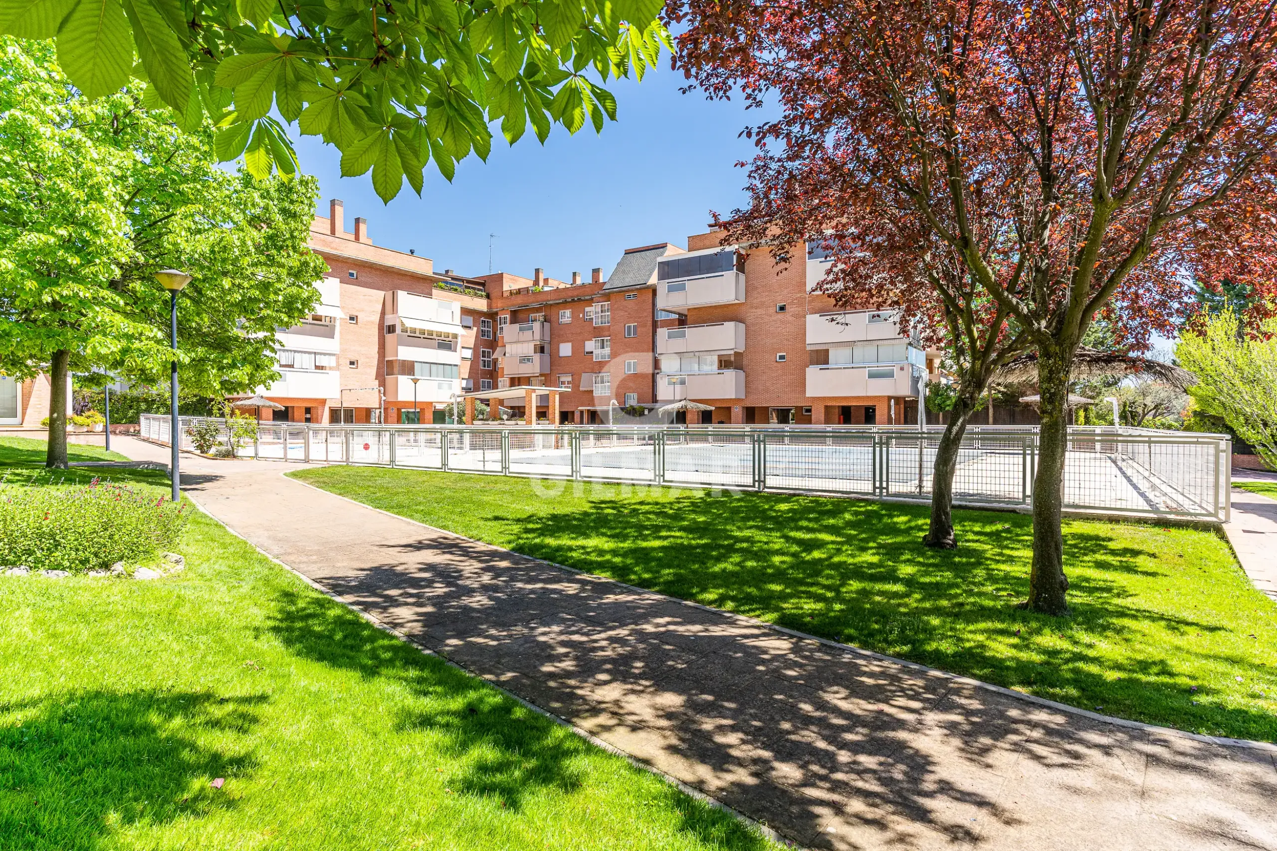 Bajo en Pozuelo de Alarcón - Madrid