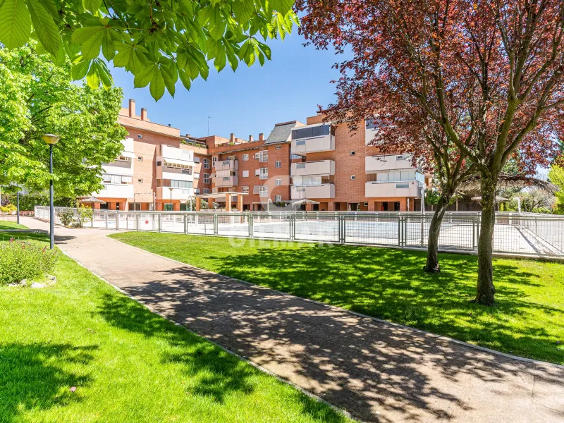 Bajo en Pozuelo de Alarcón - Madrid