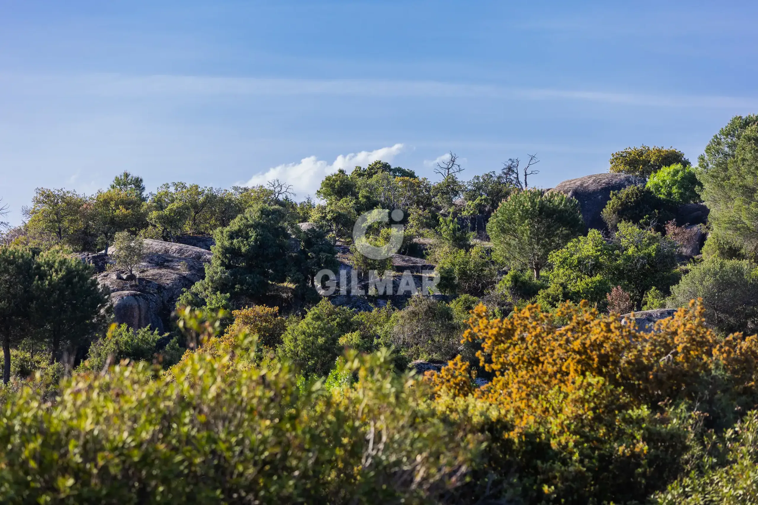 Chalet Independiente en Torrelodones - Madrid