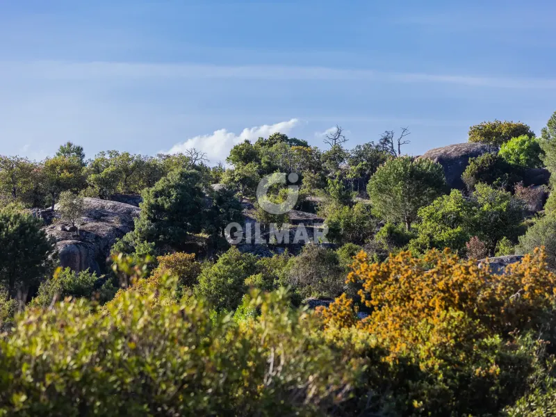 Chalet Independiente en Torrelodones - Madrid