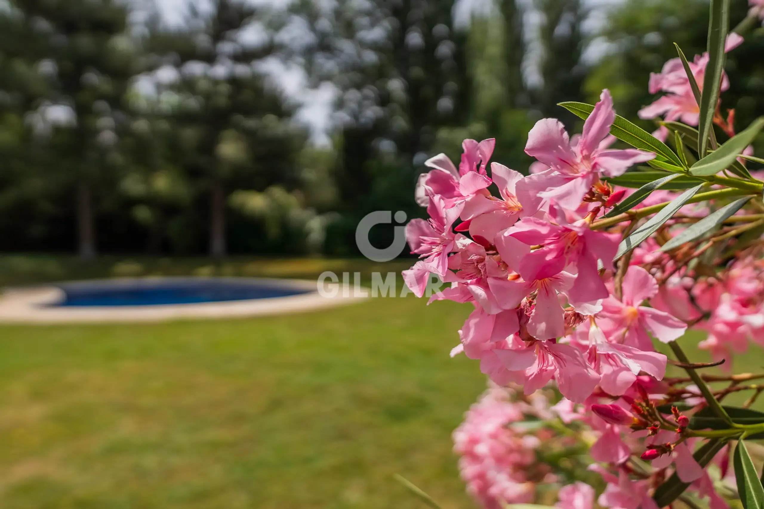 Villa in Pozuelo de Alarcón - Madrid