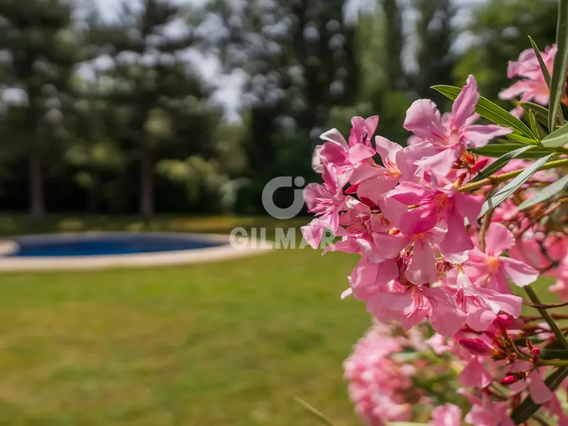 Villa in Pozuelo de Alarcón - Madrid