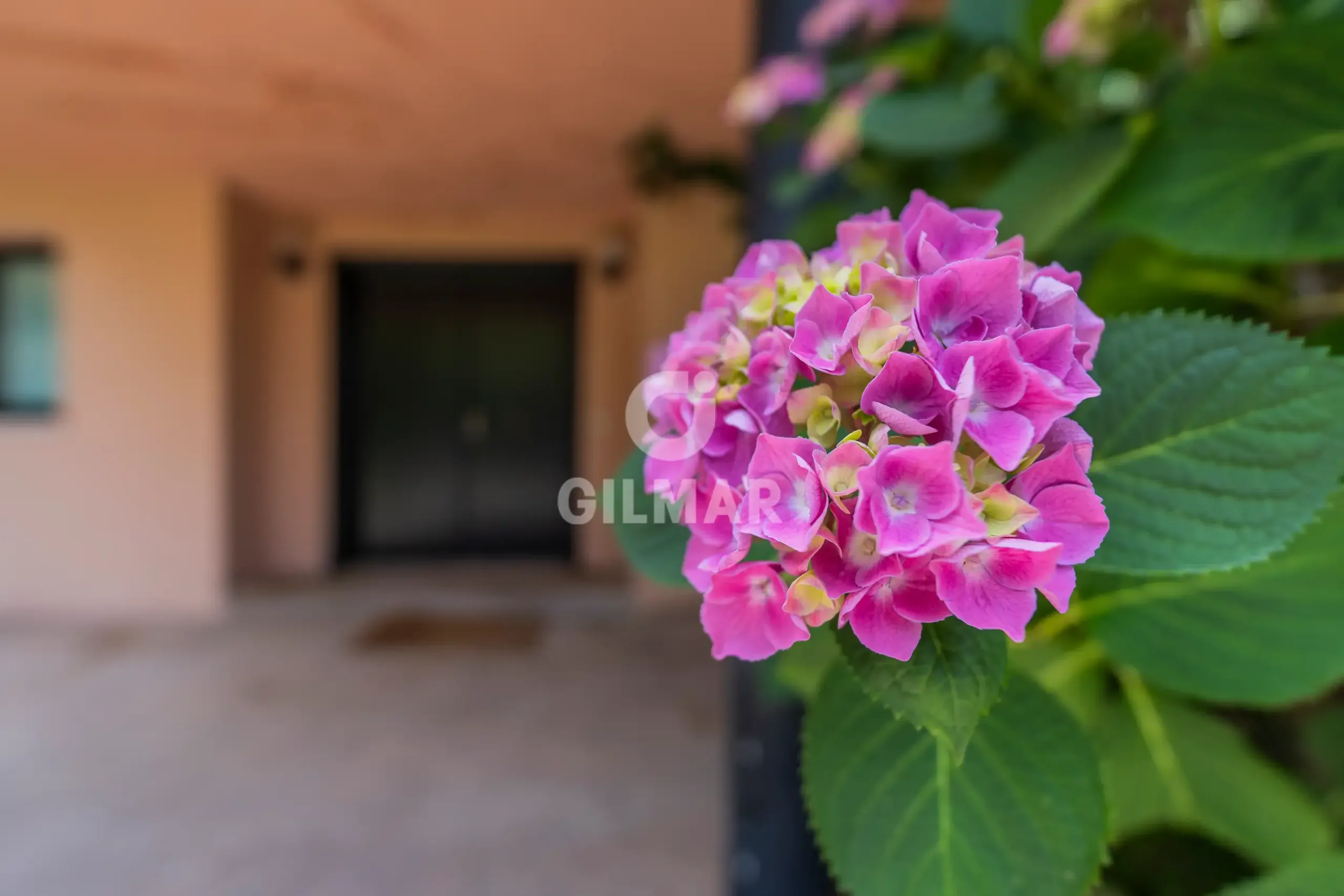 Villa in Pozuelo de Alarcón - Madrid