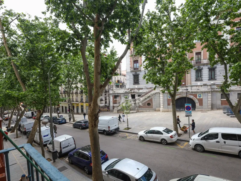 Apartment in Embajadores - Madrid