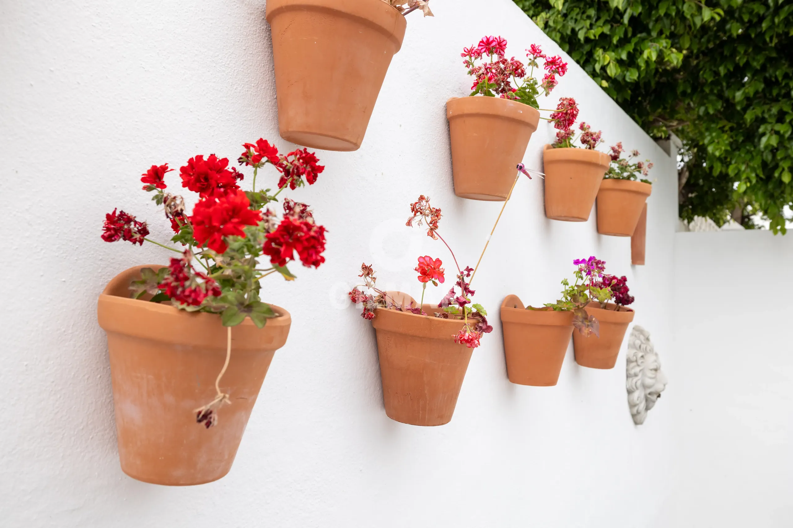 Semi-detached house in Guadalmina - Málaga