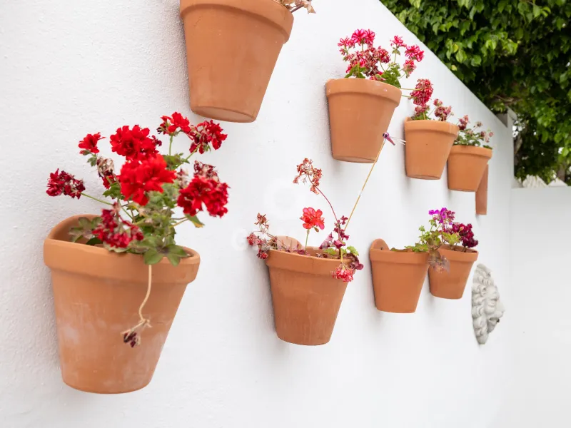 Semi-detached house in Guadalmina - Málaga