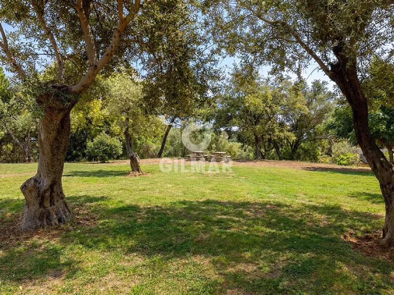Townhouse in Marbella Este - Málaga